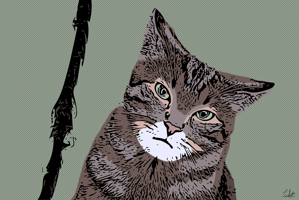 Real World Manx