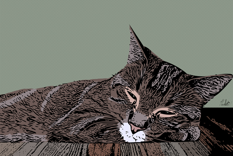 Manx napping on the floor