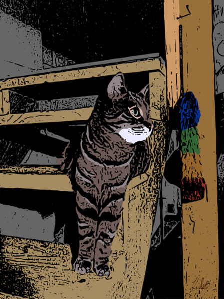 supervising the humans